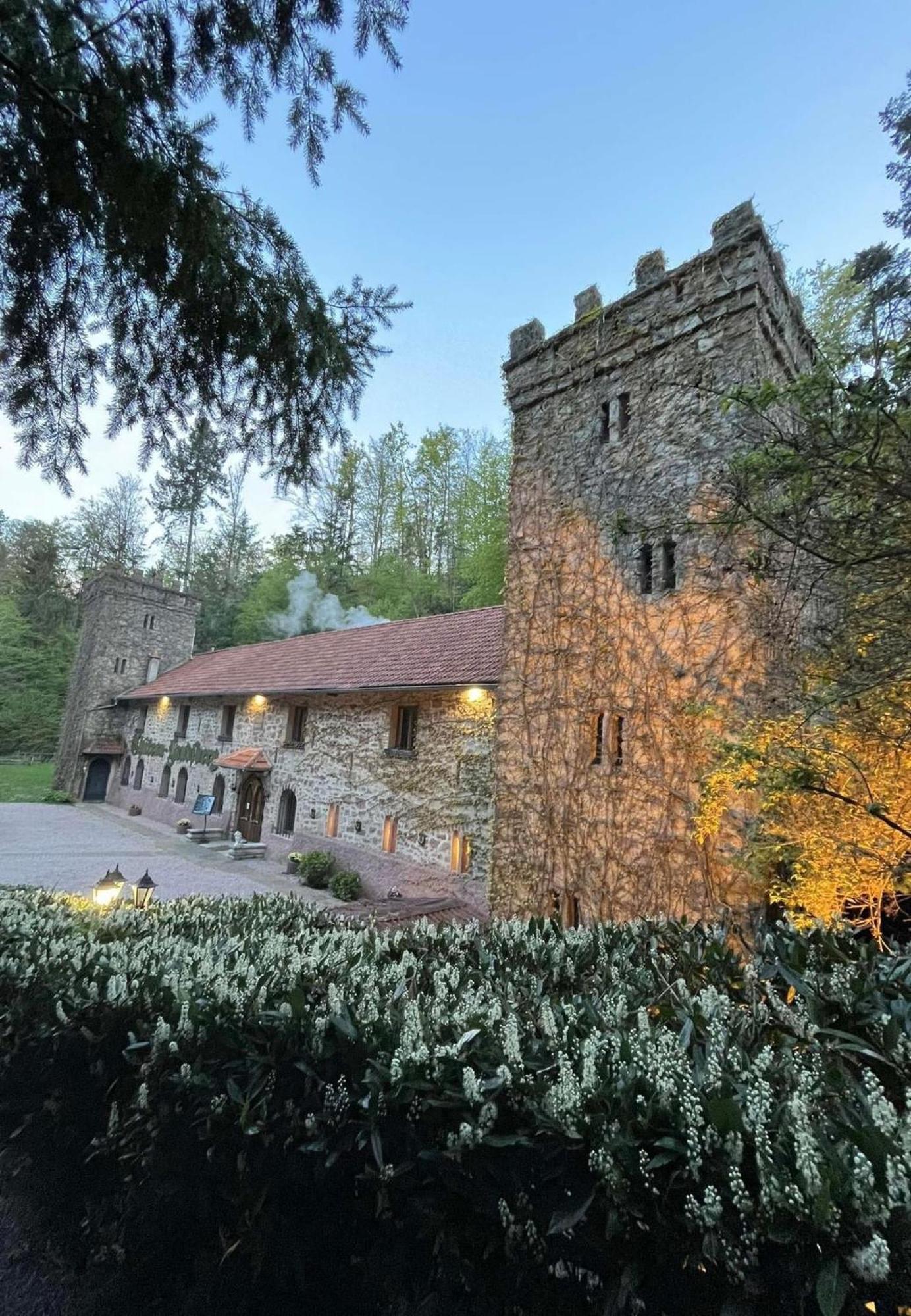 Le Chateau Du Landsberg Barr Exterior photo